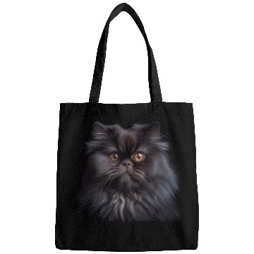 Discover Persian Cat - A Sweet Gift Idea For All Cat Bags