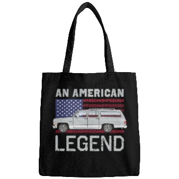 Discover legend Light Silver Bags