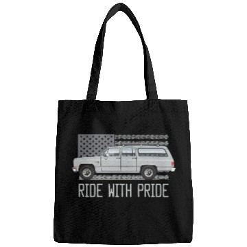 Discover ride Light Silver Bags