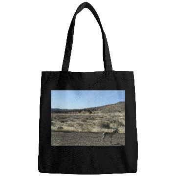 Discover Antelope near Grand Canyon West Bags