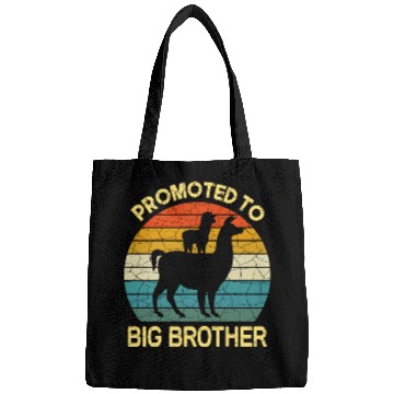 Discover Promoted to big brother dinosaur Gift Bags