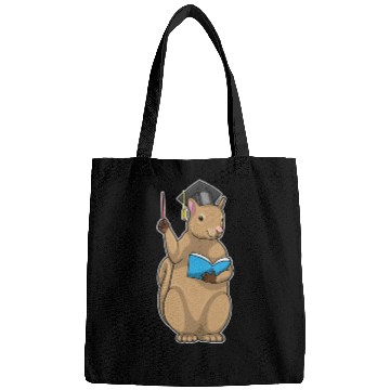 Discover Squirrel As Teacher With Book Bags