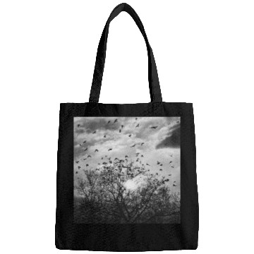 Discover Bird's flight at sunset Bags