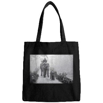 Discover Elephant Mom and Baby In Jungle Safari Bags