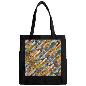 Discover Wildlife Stripe orange Collage Bags