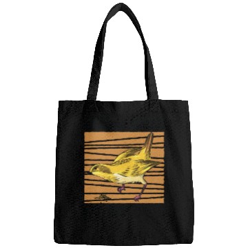 Discover Bird Feeding Health Bird Fan Birdwatching Bags