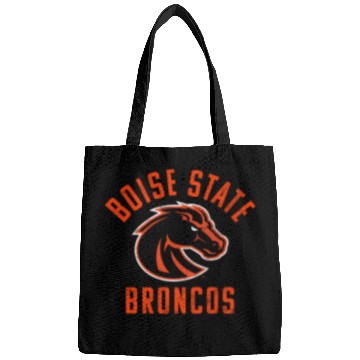 Discover Boise State Bsu Broncos Bags