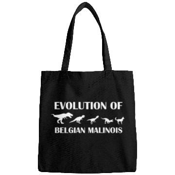 Discover Evolution of Belgian Malinois Bags