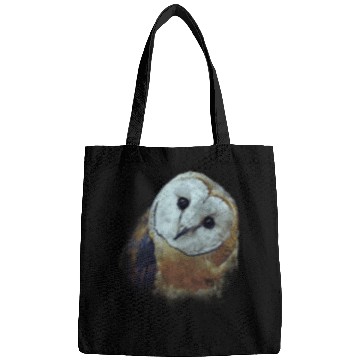 Discover Barn Owl Painting Owl Bags