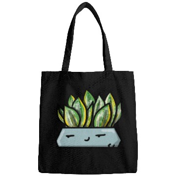 Discover Pocket Plant Sansevieria Bags
