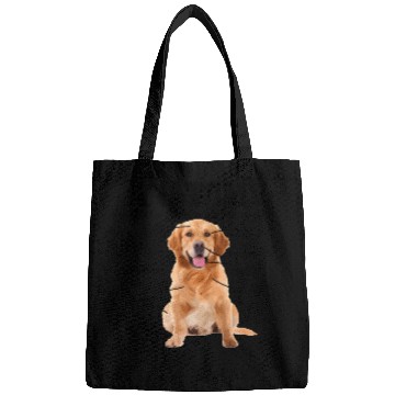 Discover Anatomy Of A Golden Retriever Dog Mom Dad Bags
