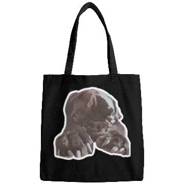 Discover Cane corso in its natural sleeping environment Bags