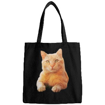 Discover Orange Cat Bags