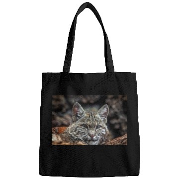 Discover Baby Bobcat, Cat, Stickers, Bags
