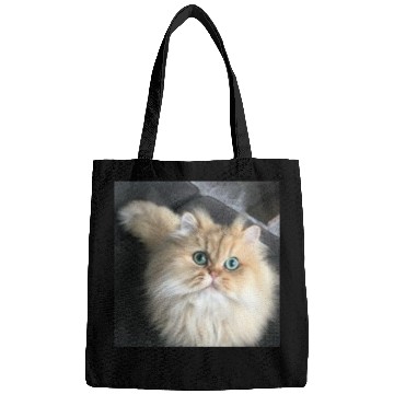 Discover Cat lover Bags