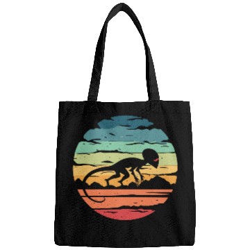Discover Alien sunset Bags