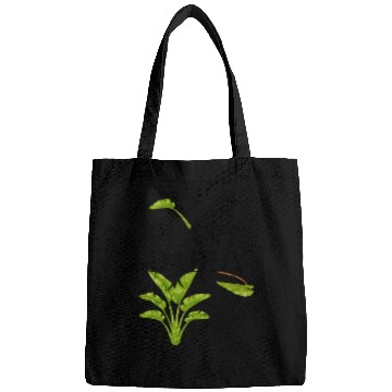 Discover Plant Daddy Bags