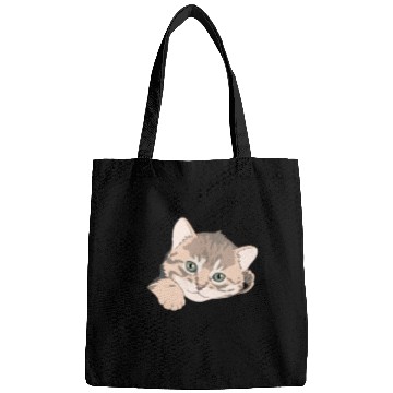 Discover Pocket Baby Cat Bags