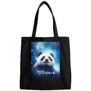 Discover Funny Math Meme - Panda In Space Bags
