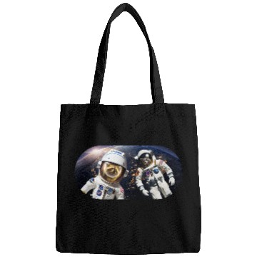 Discover Racoons in Space Bags