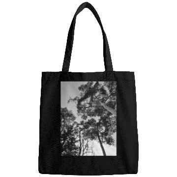 Discover 20230108 142337 Bags