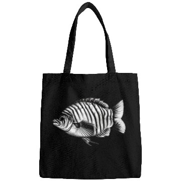 Discover Fish Bags