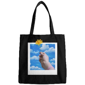 Discover Polaroid Card Bags