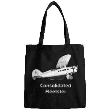 Discover Consolidated Fleetster Aircraft model Bags