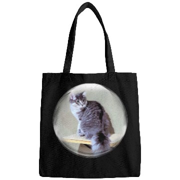 Discover Life In a Bubble Collection-Kitty on the Shelf Bags