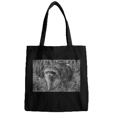 Discover cute racoon walking through wooded forest Bags