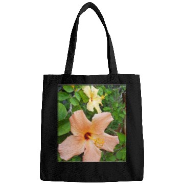 Discover Hibiscus 5 Bags