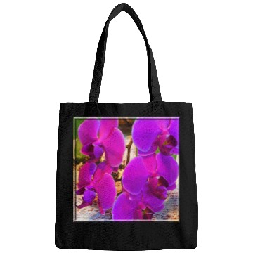 Discover Orchid 4 Bags