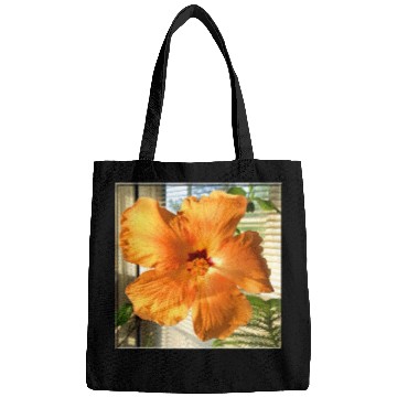 Discover Hibiscus 3 Bags