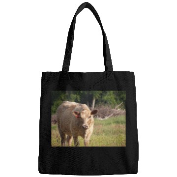 Discover Cow Bags