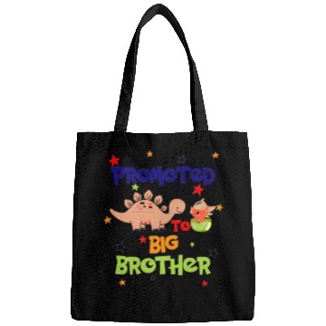 Discover promoted to big brother Bags
