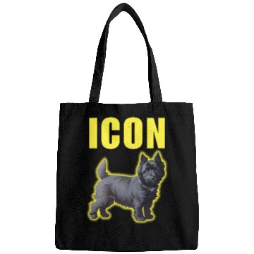 Discover Icon Boy Bags