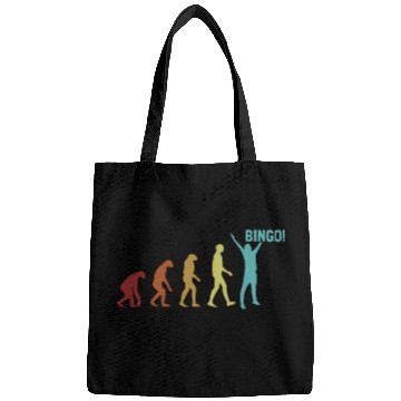 Discover Bingo Evolution Professional Caller Daubers Bingo Bags
