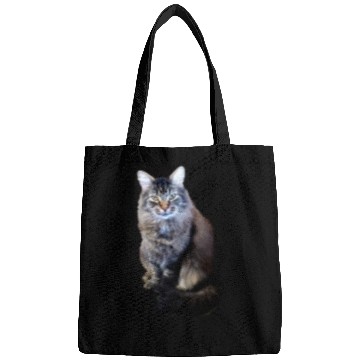 Discover Indie the Cute Cat Bags