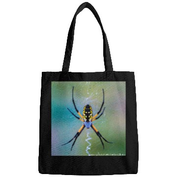 Discover Garden Spider Bags