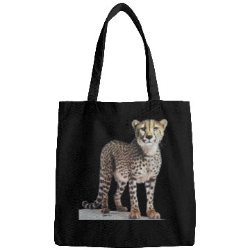 Discover Cheetah Bags