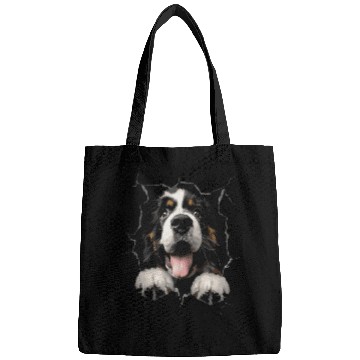 Discover Saint Bernard Bags