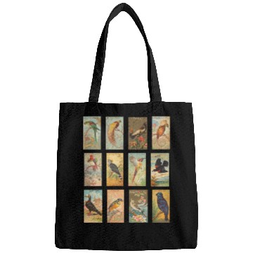 Discover Vintage Exotic Bird Illustration Collection Bags