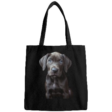 Discover Great Dane Bags