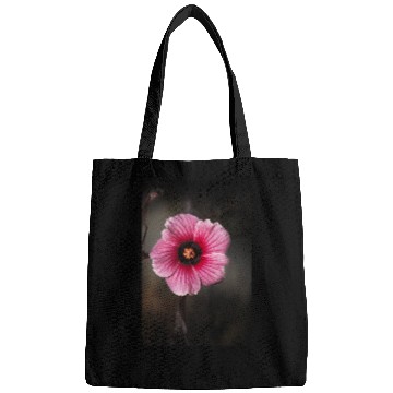 Discover Hibiscus acetosella or cranberry hibiscus Bags