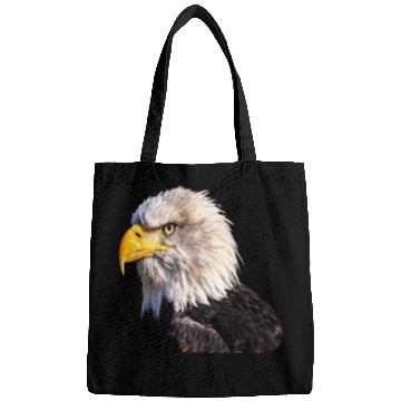 Discover 1 Eagle Bags