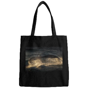 Discover Humpback Whale Tail Bags