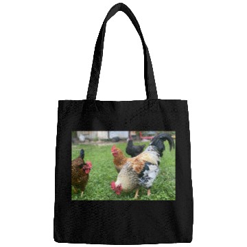 Discover Farmyard Rooster and Chickens Illustration Bags