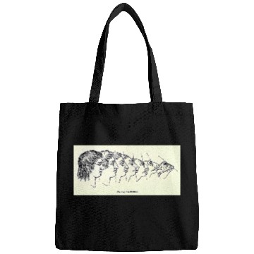 Discover Vintage Evolution Man Into Frog - Werefrog! Bags
