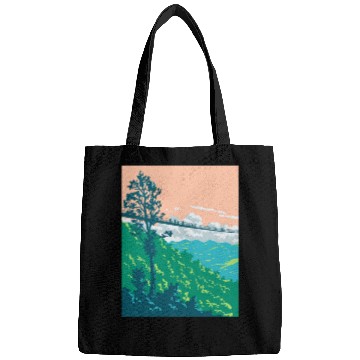 Discover Great Smoky Mountains National Park in Gatlinburg  Bags