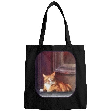 Discover Orange Tabby in Doorway Bags